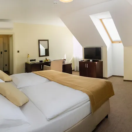 Hotel Ensana Pro Patria 2*