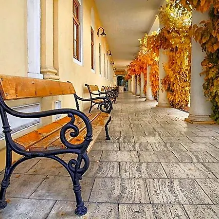 Ensana Pro Patria Hotel 2*