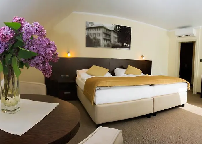 Ensana Pro Patria 2* Pöstyén